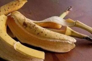 香蕉放幾天皮就變黑，這樣還能吃嗎？營養師教大家三招輕鬆應對