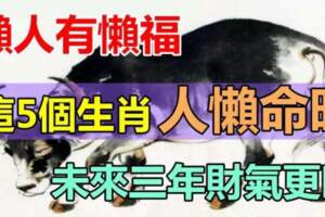 懶人也有懶福，這5個生肖人懶命旺