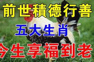 前世積德行善，今生享福到老的五大生肖