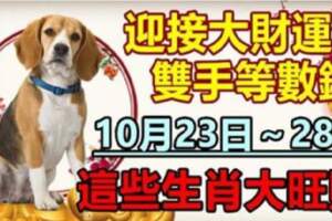 10月23日～28日迎接大財運，這些生肖大旺財