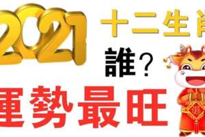 2021年十二生肖誰的運勢最旺？