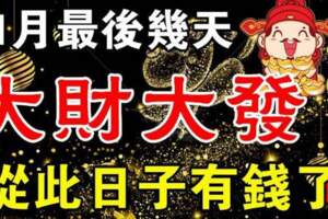 11月最後幾天大財大發的生肖，從此日子有錢了