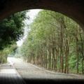 台灣「在地人都超想去」的20大人氣、私房景點，過年就去這些秘境隧道和天上城堡！