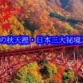 【仙境】紅葉の秋天裡，日本三大祕境之一的白川鄉，夢幻月色居然美得如此不為人知！