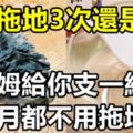 每天拖地3次還是髒？老保姆給你支一絕招，半個月都不用拖地！