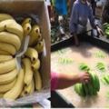 還在買有毒香蕉？一分鐘教你如何分辨。這種香蕉甲醛超標,多便宜也不要買