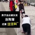 男子被女友以圍巾綁著頸項，牽著在地上爬行學狗吠~網民：標准發情公狗配婊子!?