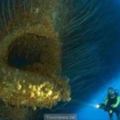 15張活在海底的「深海巨型怪物」終於見識到深海的危險指數是多麼的恐怖啊！