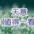 佛說：一切都是天意（值得一看）