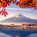 2018日本楓葉預測時間表，最強賞楓攻略看這篇！