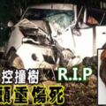 轎車失控撞樹女郎頭重傷死。R.I.P