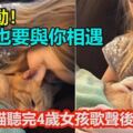 超感動！「來生也要與你相遇」！14歲老貓聽完4歲女孩歌聲後去世！