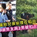 20歲女誕胎兒後偷偷埋在稻田被揭發！19歲男友與2男被扣查！