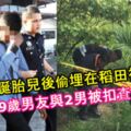 20歲女誕胎兒後偷偷埋在稻田被揭發！19歲男友與2男被扣查！