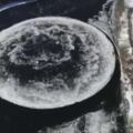 月亮降臨地球？美國緬因州驚現圓形冰盤！