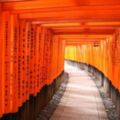 為什麼鳥居要漆成紅色的？超逗趣神社佛寺冷知識！去日本玩拿出來說嘴包準被膜拜！