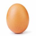 這顆蛋獲「4500萬個讚」洗刷IG新紀錄　世界各國網友一看：也算我一個！