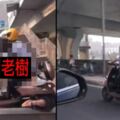 橋上情侶超猛「特技式雙載」！…看傻狂拍：速度與激情