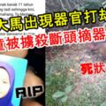 悚！大馬出現器官打劫案！女童被擄殺，斷頭摘器官！死狀恐怖！