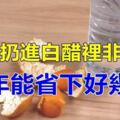 橘子皮扔進白醋裡非常厲害，一年能省下好幾百，學會記得告訴家裡人