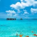 5天後開始休眠！斯米蘭島：全球十大最迷人景點，每天限流3500人