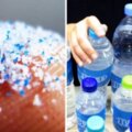成人年吸「10萬個塑膠微粒」進體內！　專家：喝瓶裝水的最嚴重