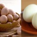 吃雞蛋會為身體帶來這3個好處，但有2個注意事項別忽視了