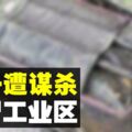 行李箱藏屍棄工業區