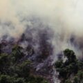 鏡頭背後／地球之肺燃燒中：巴西「亞馬遜森林大火」頻繁破紀錄