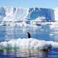 現在是南極比較熱！　2月氣溫「衝出20°C」科學家憂：歷史最高