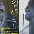 日本「最帥大猩猩」夏巴尼歡度25歲生日粉絲慶生讚「大叔魅力更迷人！」