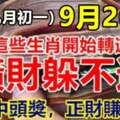 9月26日（農曆九月初一）開始轉運，橫財躲不過的生肖