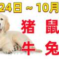 12生肖一周（10.24~10.30）