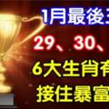 1月29、30、31號橫財大發，逢獎必中，富貴難逃的六生肖