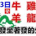 2月13日生肖運勢_牛、雞、猴大吉