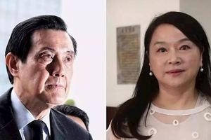 罵馬英九130次她賺100萬但這次卻輸了