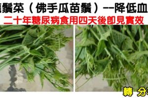 【二十年糖尿患者食用四天後即見實效】龍鬚菜（佛手瓜苗鬚）-----降低血糖