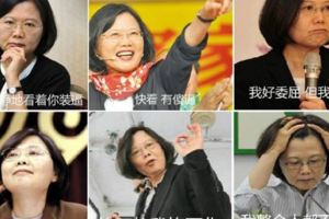 退員的【替天行道】及小英的【報應】！談談打抱頭鼠竄【街鼠】的快感！