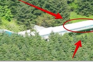 不小心拍到【Hutan森林發現一輛失蹤很久的飛機】當他們打開一看。。。全場人都嚇尿了！！！