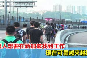 外籍人想要在新加坡找到工作，現在可是越來越難了