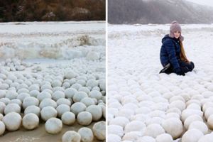 海岸線出現「巨大棉花糖」吸遊客拍照　科學家解惑：是生態危機
