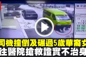 5歲女童從車前越過　遭女校車司機撞倒及碾過身軀