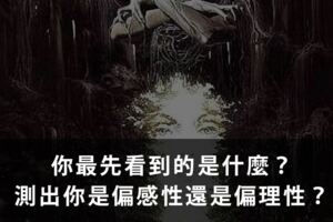 心理學：你最先看到的是什麼？測出你是偏感性還是偏理性？