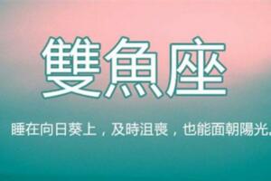 雙魚座是很有原則的人，至少這8點他很堅持，無論如何都會死守住！