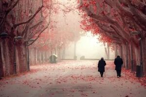 孩子，願你懂得父母身後的苦和難，不攀不比，做好自己