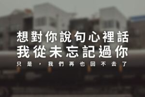 想對你說句心裡話，我從未忘記過你，只是，我們再也回不去了