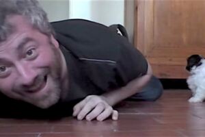 男子趴地看小奶汪有什麼反應　結果「牠對主人的愛」多到網友都羨慕！