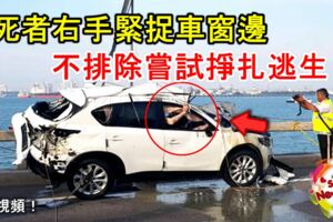 【轎車被撞下海】梅勻鉼右手緊捉車窗邊，不排除嘗試掙扎逃生！RIP！