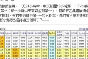 中天一天19小時收視率第一 綠營鄉民崩潰 他笑了 