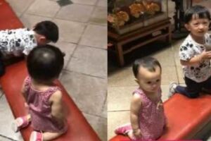 2歲小弟弟「擲筊用奶音」無釐頭問媽祖一句話！讓北港媽祖婆顯神蹟「秒聖杯答應」！媽媽當場超傻眼哀號「唉唷」！